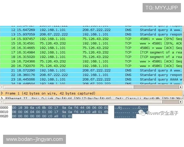 免费波胆分析工具避坑指南彩票数字高频玩法防骗
